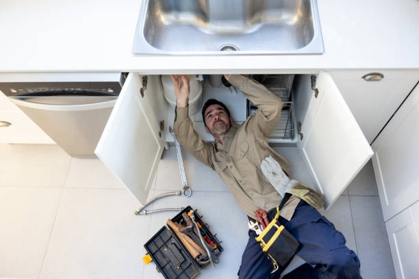 Best Commercial Plumbing Services  in Lapel, IN