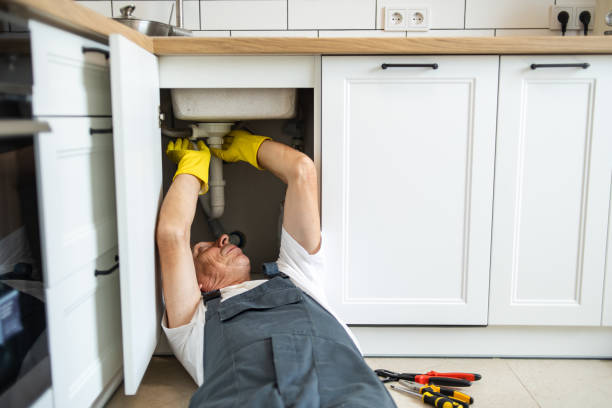 Best Best Plumbers Near Me  in Lapel, IN